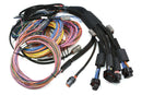 NEXUS R5 + Universal Wire-in Harness Kit | 5m (16')-2
