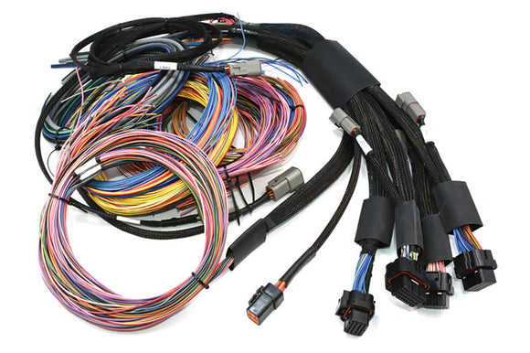 NEXUS R5 + Universal Wire-in Harness Kit | 5m (16')