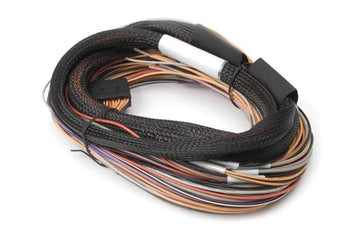 Haltech IO Expander box Harness Flying Lead