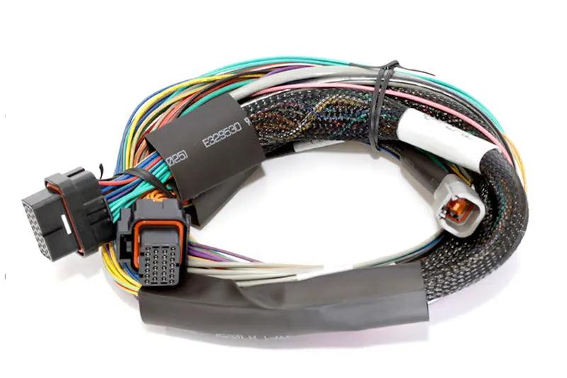 Elite 1500 + 2.5m Basic Universal Wire-in Harness Kit