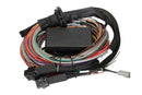 Elite 1500 + 2.5m Premium Universal Wire-in Harness Kit-5